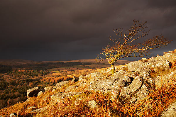 Sheeps Tor - Dartmoor