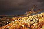 Sheeps Tor