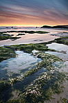 Constantine Bay