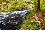 River Dart